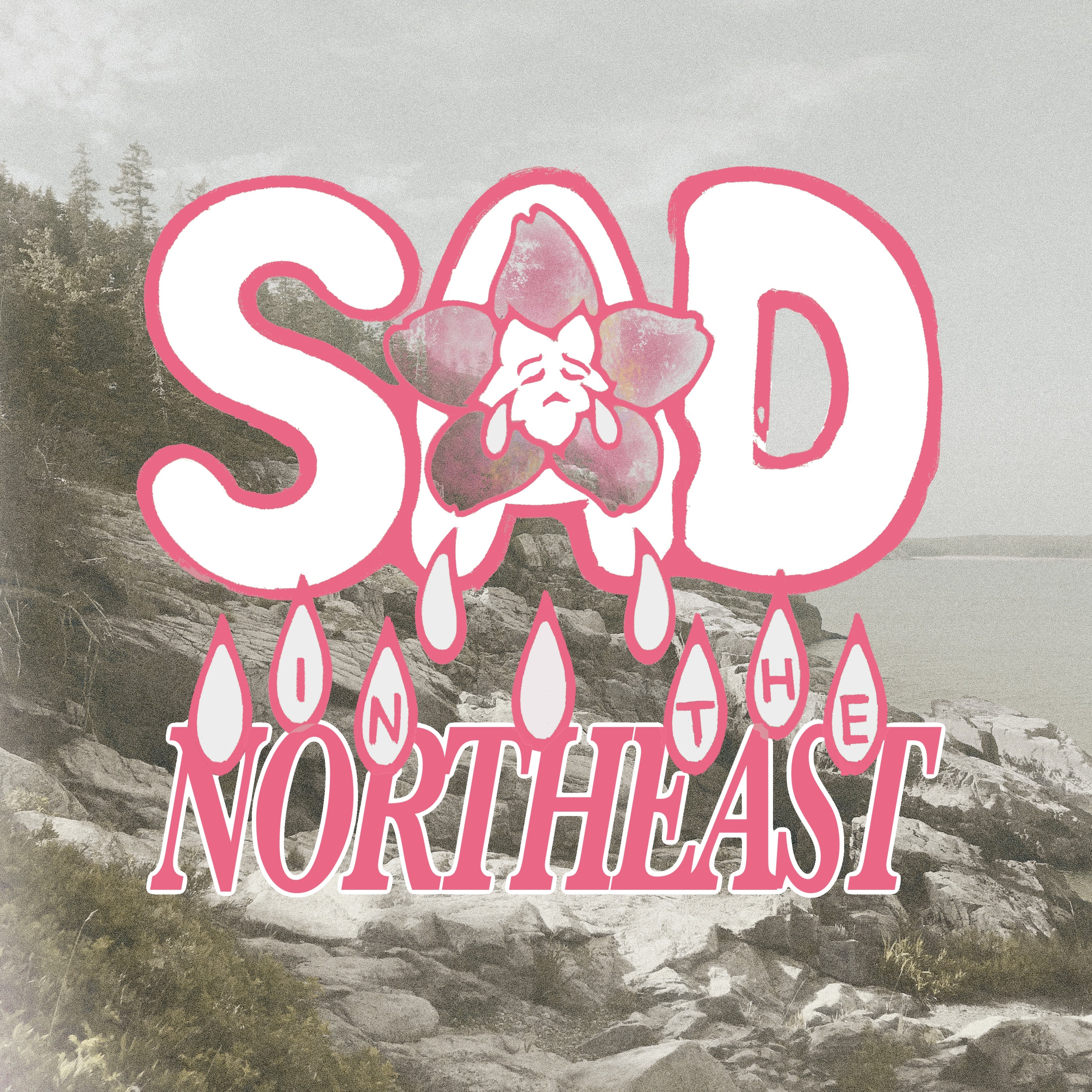 CD! (Sad In The Northeast)